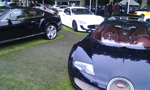 Chelsea Autoshow